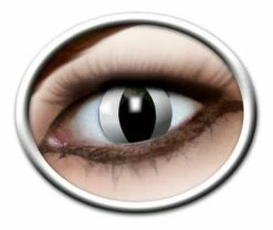 Kleurlenzen Kat Zwart (3 Maanden)