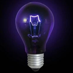 Blacklight Lamp (220V)