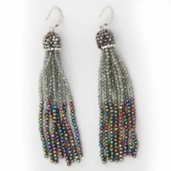 Luxe Oorbellen Zilver