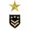 Leger Emblemen Patch & Ster