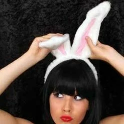 Diadeem Konijnenoren Wit/Roze