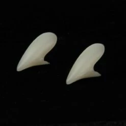 FeestFabriek Verkoop -FeestFabriek Verkoop tanden 2 gr 1