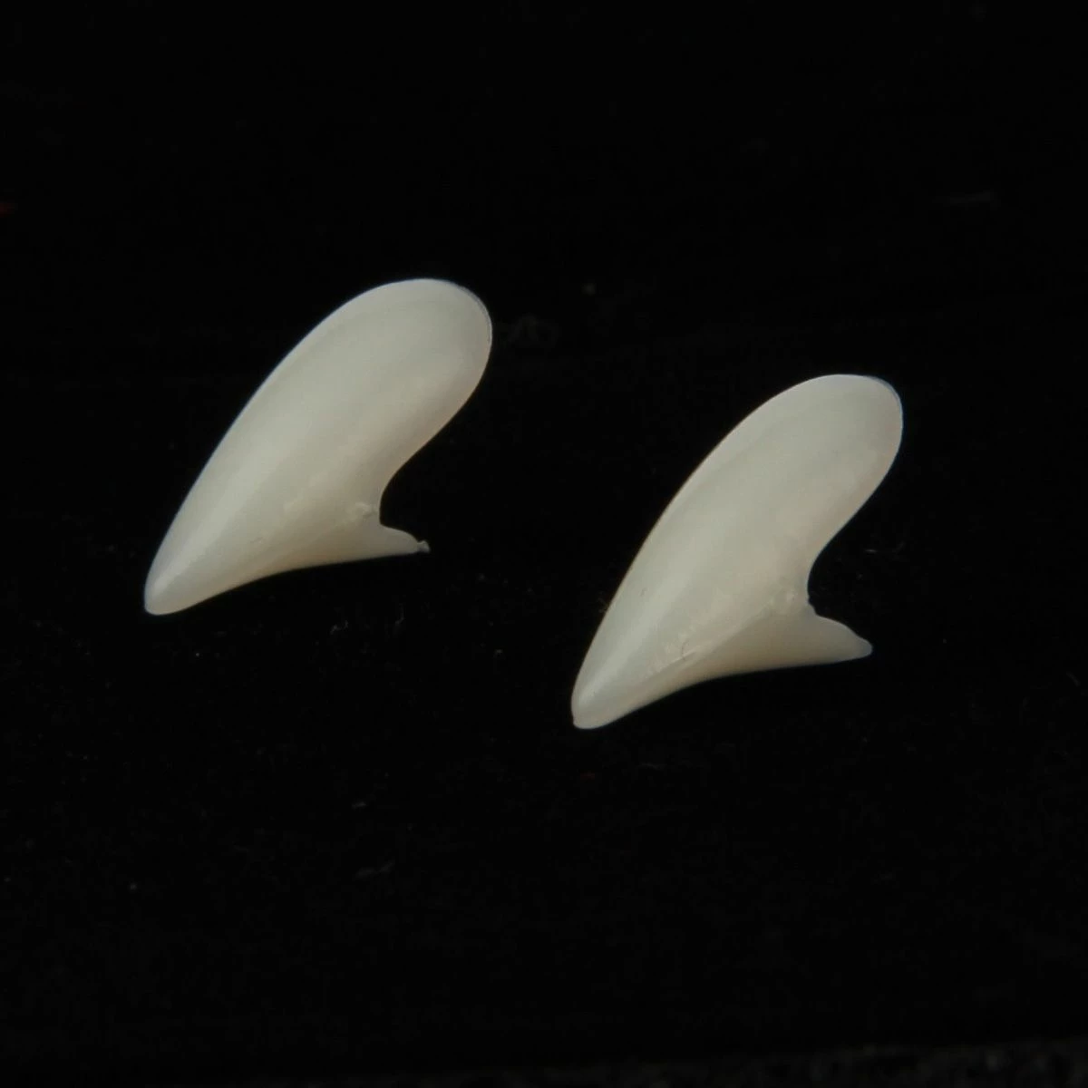 Luxe Vampier Hoektanden 19 Mm 2 Luxe Vampier Hoektanden 19 Mm - Afbeelding 2