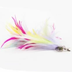 Verenpluim Multi -FeestFabriek Verkoop verenpluim rainbow04